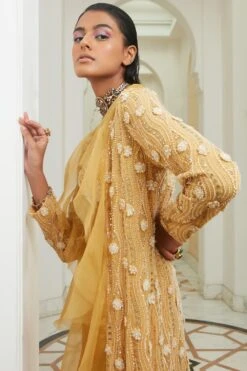 Ridhima Bhasin Sunrise Yellow Lucknowi Embroidered Jacket Set -Inca Style Shop 165rb13 4
