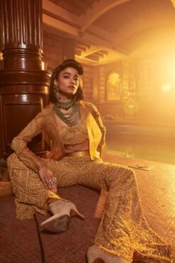 Ridhima Bhasin Mustard Crystal Drop Embellished Cape Set -Inca Style Shop 20042023rb11 5