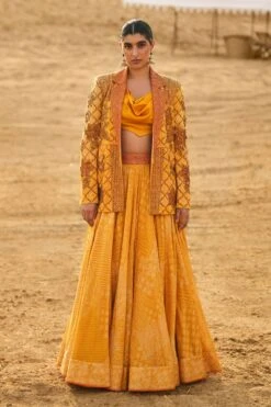 Punit Balana Mustard Embellished Jacket Set